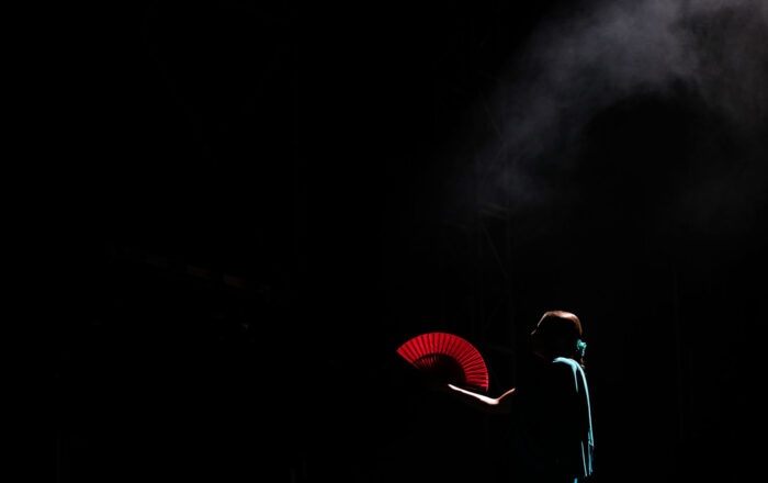Spektakl Flamenco